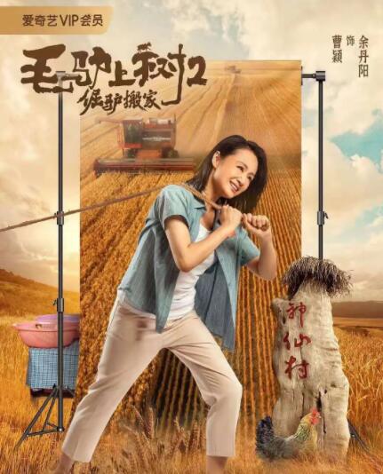jvid视频在线观看